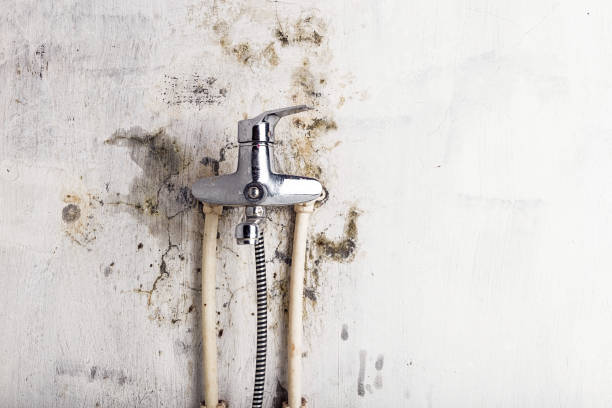 Best HVAC Mold Remediation in Discovery Bay, CA